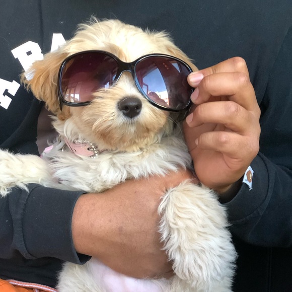 Meet your Posher, Andrew - Picture 1 of 1